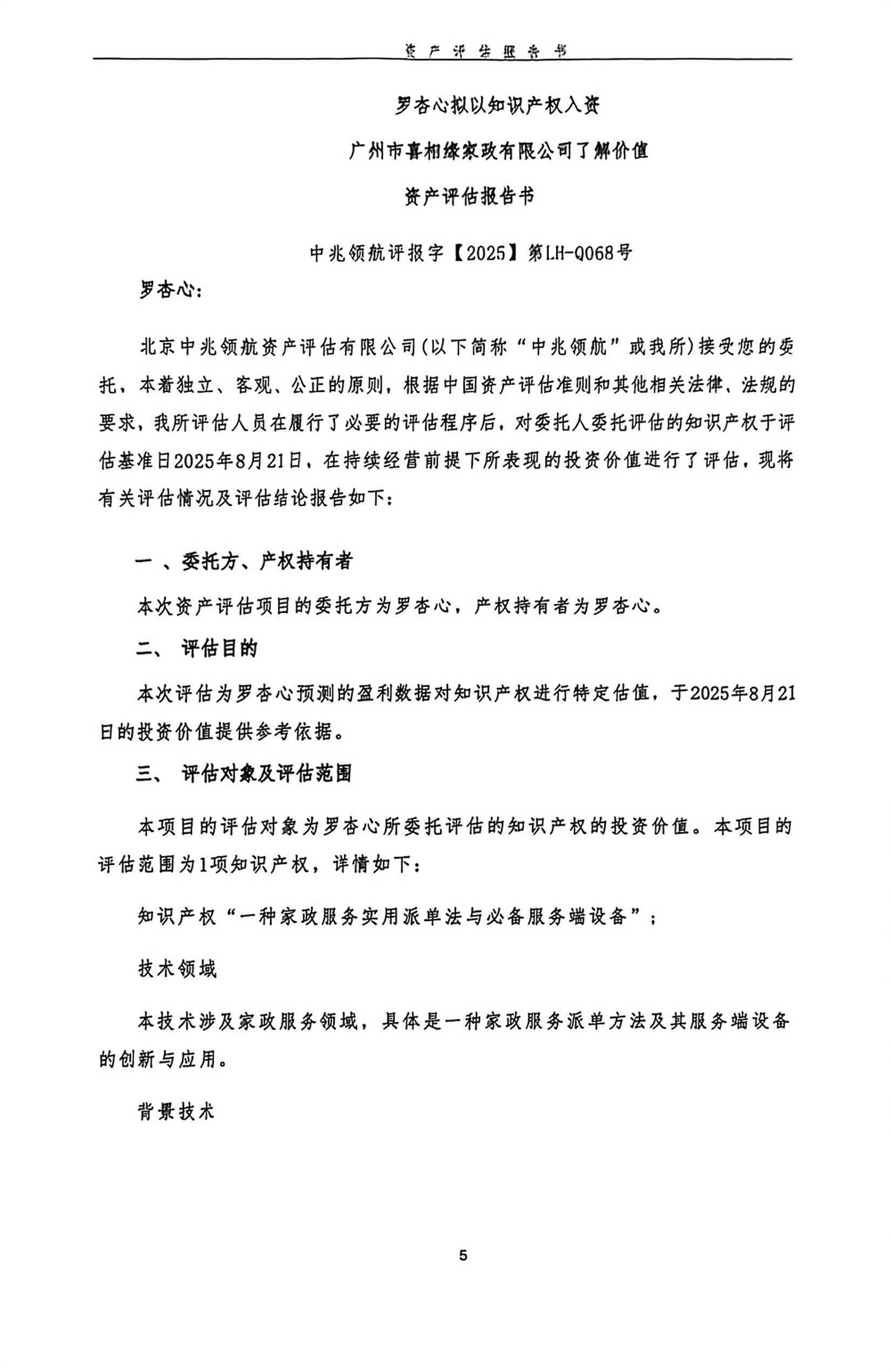 验资报告(图5)